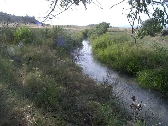 10550 Reno Lane, Shepherd, MT 59079 - Image #3