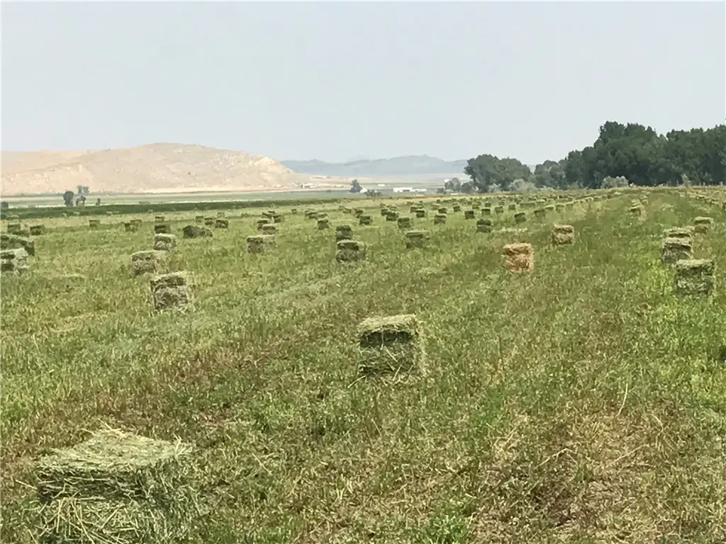 TBD Hergenrider Road, Bridger, MT 59014 - Image #1