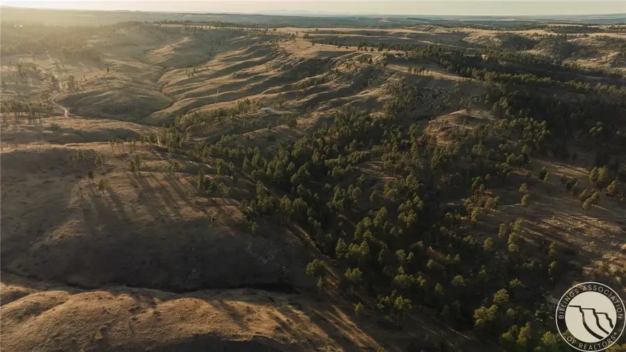 TBD Blue Rd, Roundup, MT 59073 - #2