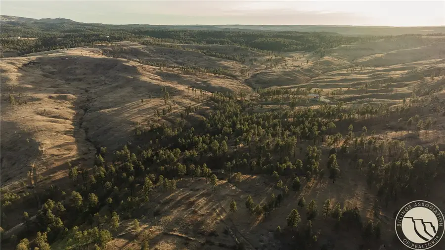 TBD Blue Rd, Roundup, MT 59073 - #3