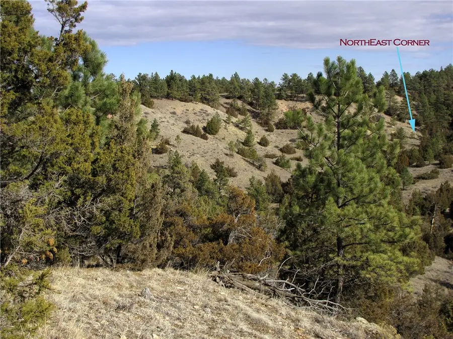 4829 Moon Creek, Miles City, MT 59301 - #3