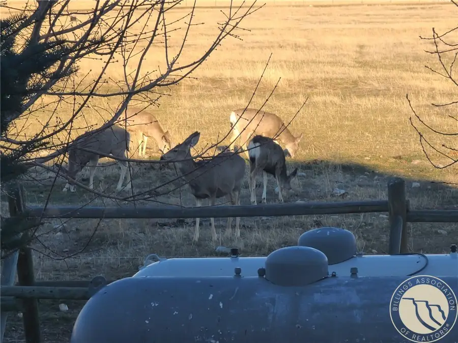 2584 Highway 284, Townsend East, MT 59644 - #2