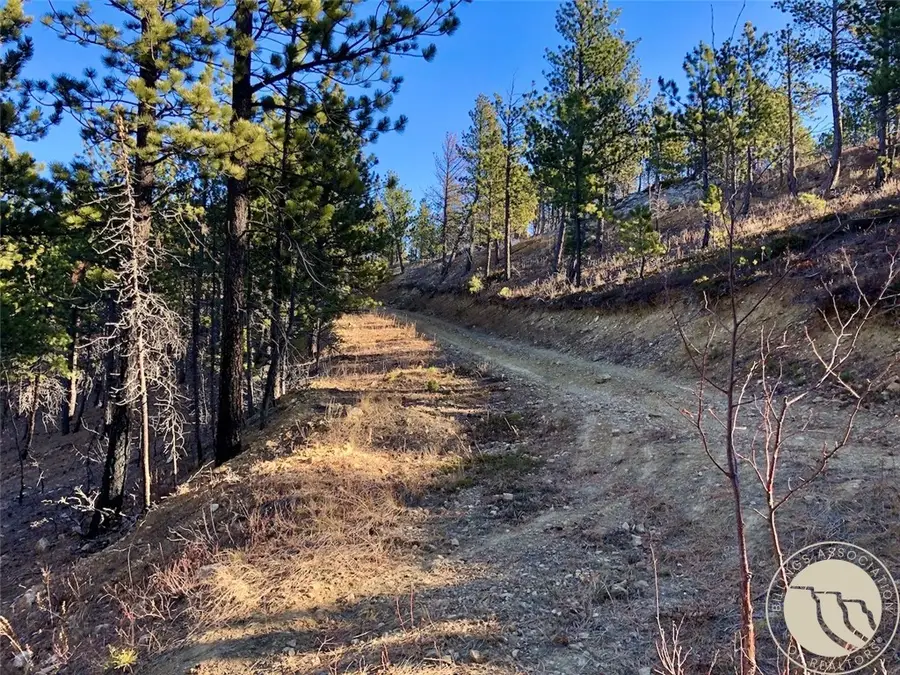 NHN Pony Gulch, South Phillips, MT 59546 - #2