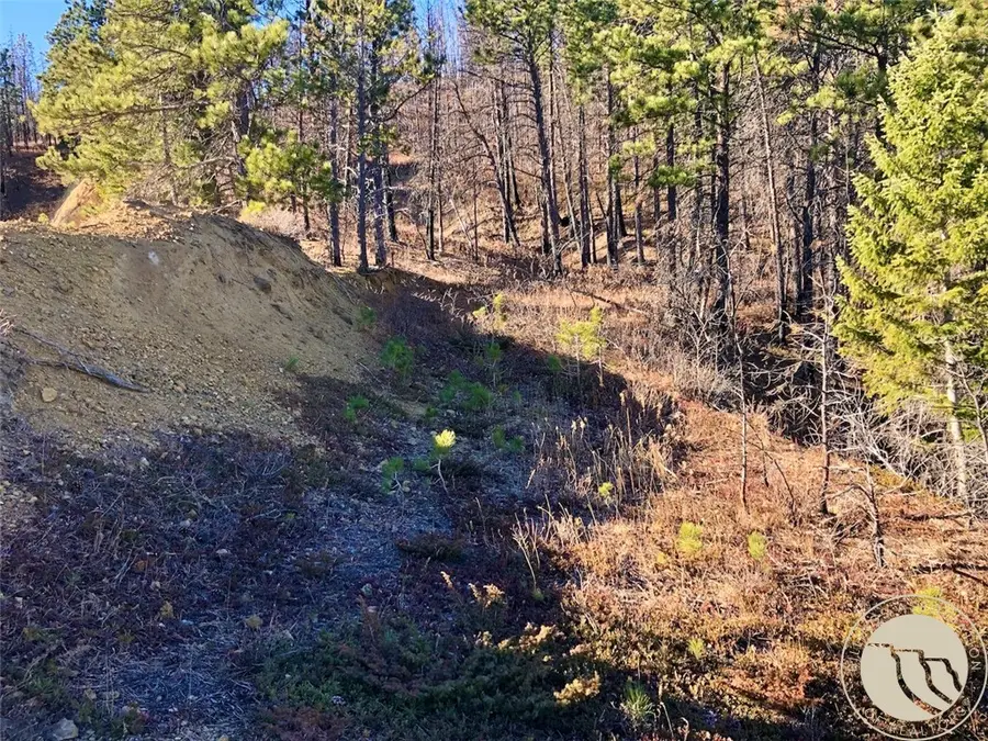 NHN Pony Gulch, South Phillips, MT 59546 - #3