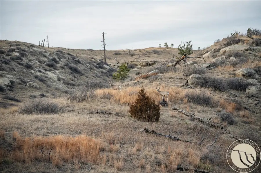 70 Rocky Top Road, Roundup, MT 59072 - #3