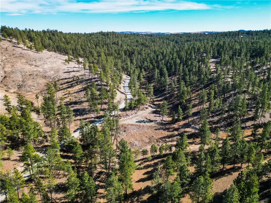 Lot 15 Hearts & Diamonds, Columbus, MT 59019 - #3