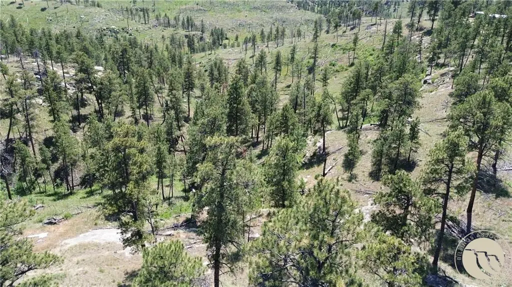 0000 Eagle Ridge, Roundup, MT 59072 - #1