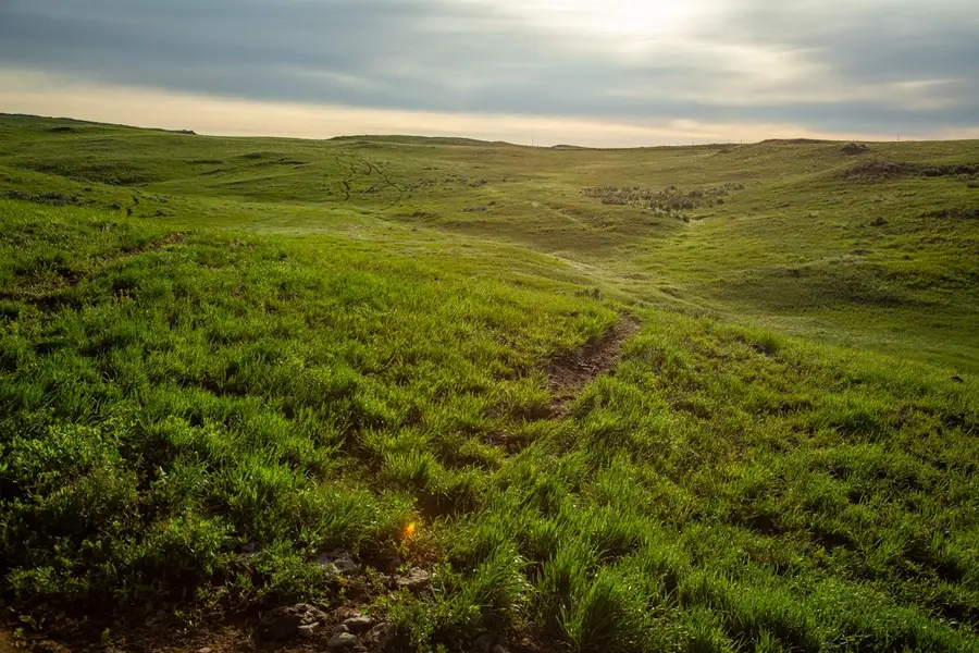 289 Hailstone Basin Road, Rapelje, MT 59067 - #2