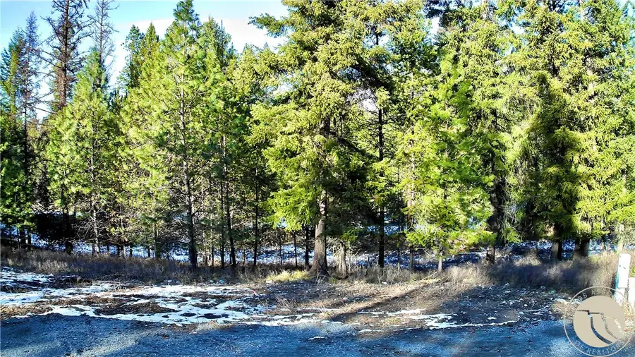 2517 Mossy Court, Thompson Falls, MT 59873 - #3