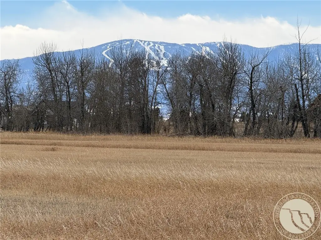 00 Paintbrush Trail, Roberts, MT 59070 - #1