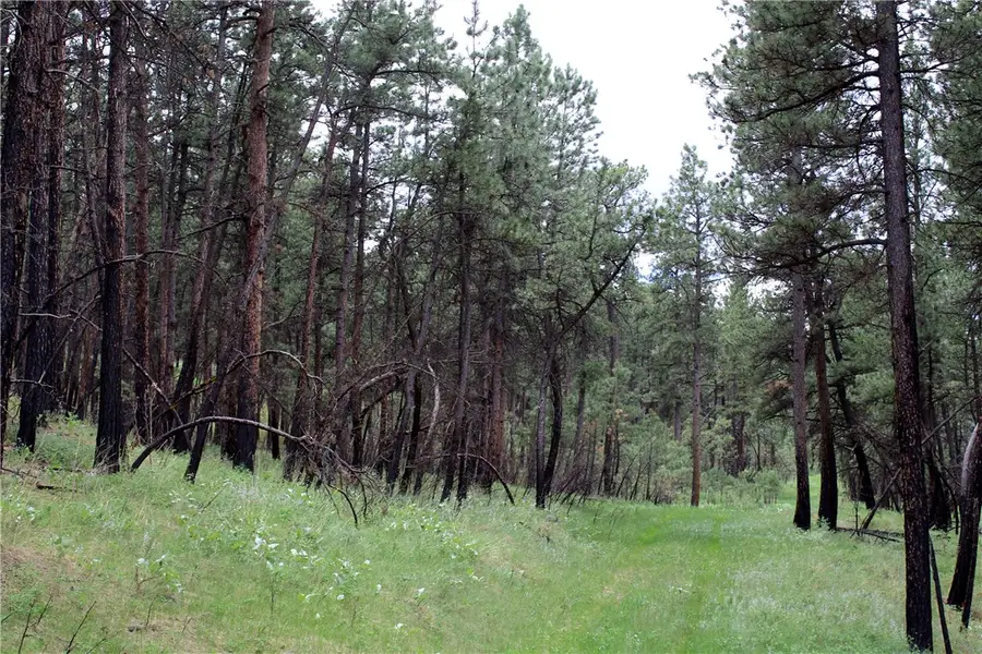 nhn Deer Lane, Roundup, MT 59072 - #2