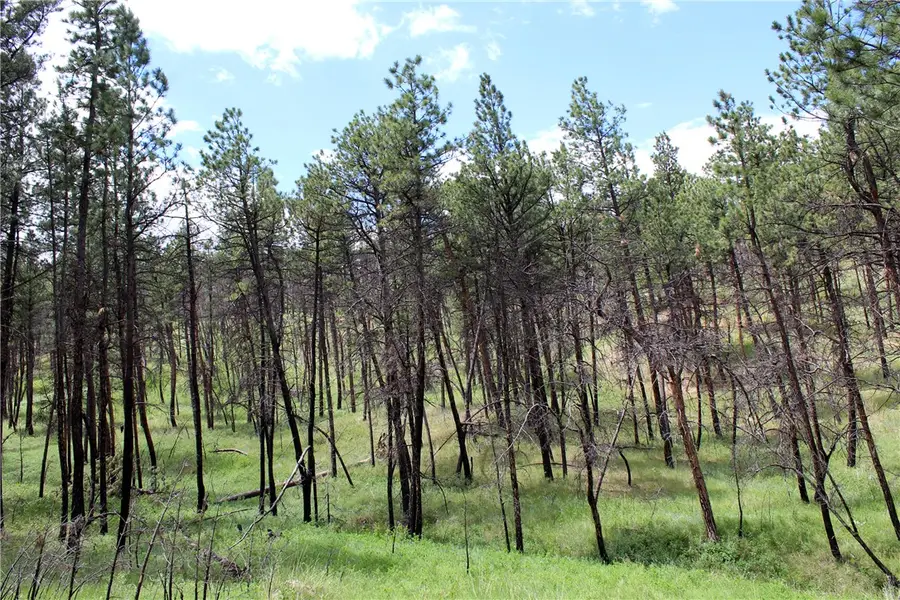 nhn Deer Lane, Roundup, MT 59072 - #3