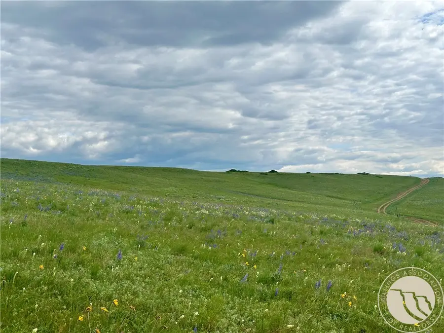 15.9 Ac Buck Creek Road, Absarokee, MT 59001 - #3