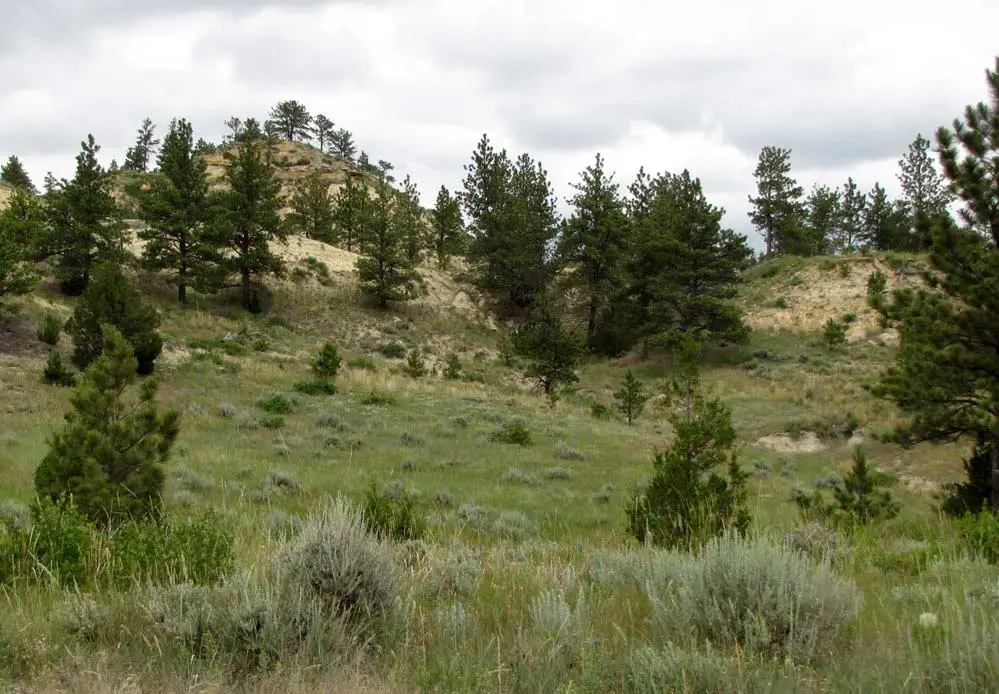 3808 Moon Creek Road, Miles City, MT 59301 - #1
