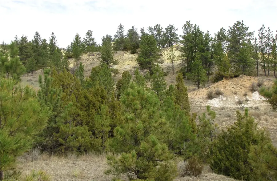 3808 Moon Creek Road, Miles City, MT 59301 - #2