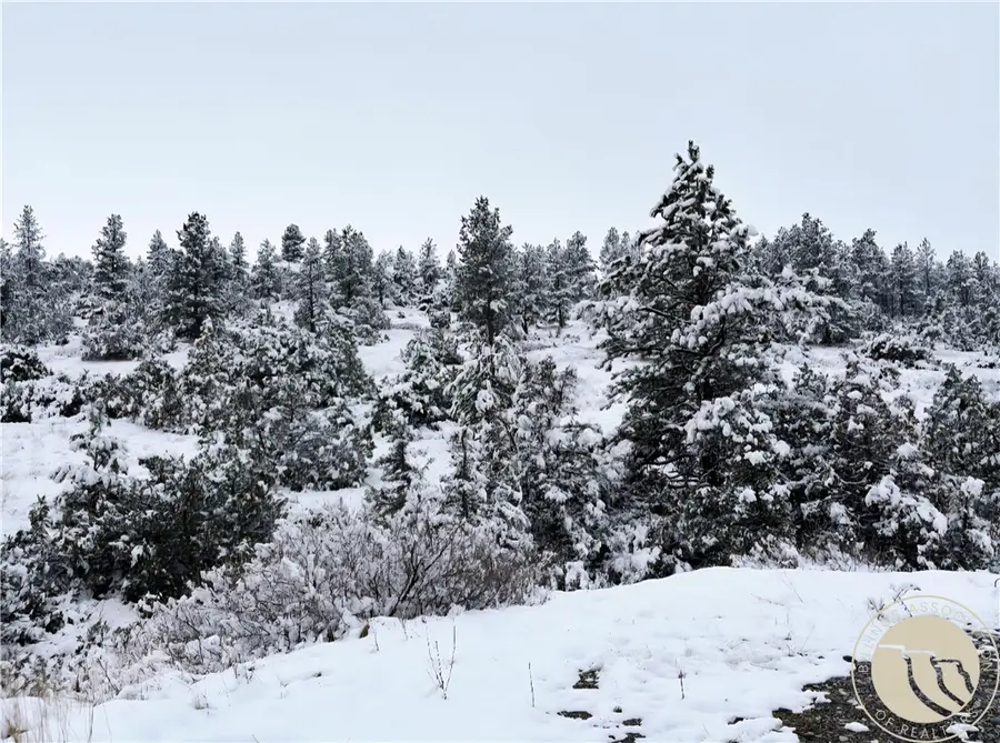 126 Night Hawk Road, Reed Point, MT 59069 - #3