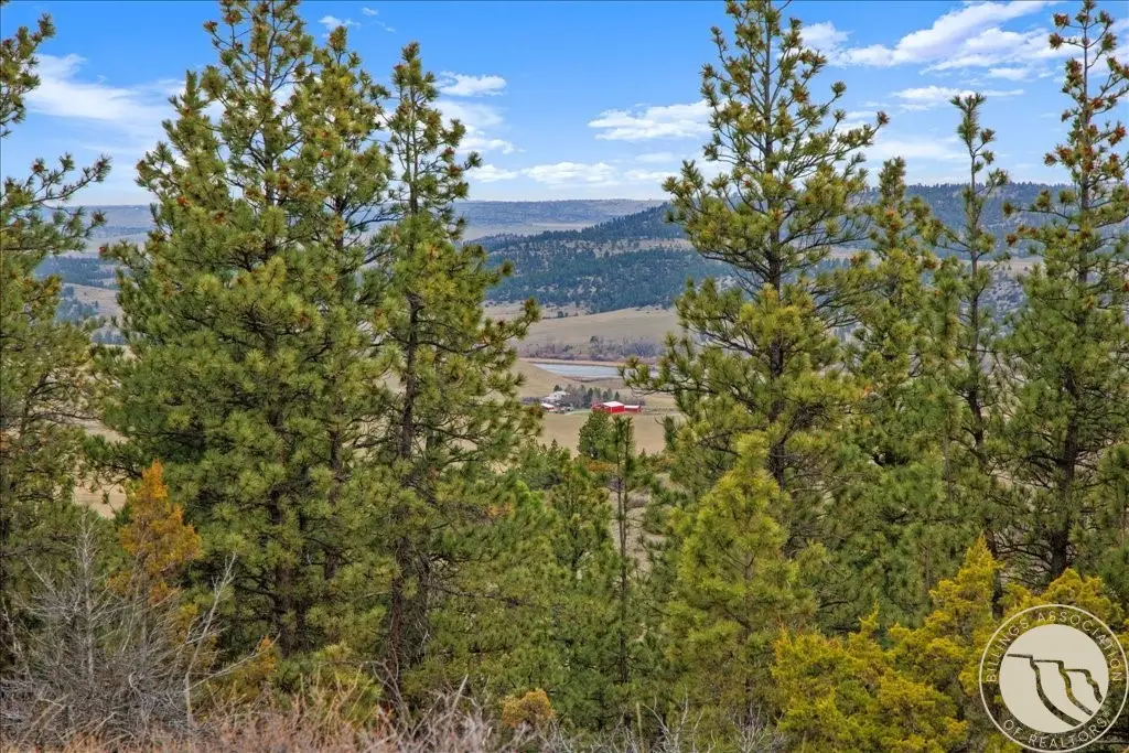 140 Night Hawk Road, Reed Point, MT 59069 - #1