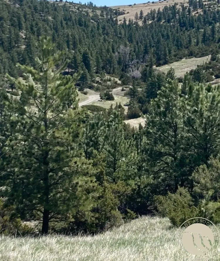 140 Night Hawk Road, Reed Point, MT 59069 - #3