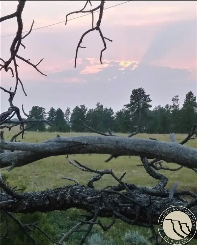 647 Majerus Road, Roundup, MT 59072 - #3