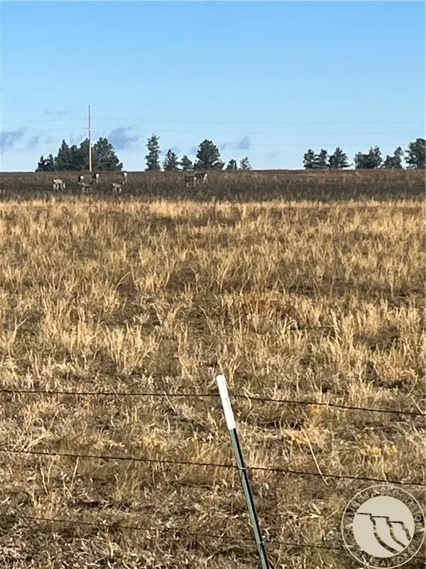 647 Majerus - Lot 1 Road, Roundup, MT 59072