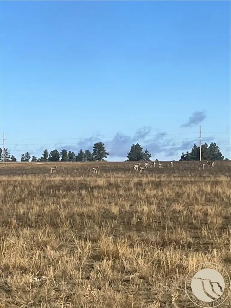 647 Majerus - Lot 1 Road, Roundup, MT 59072 - #2