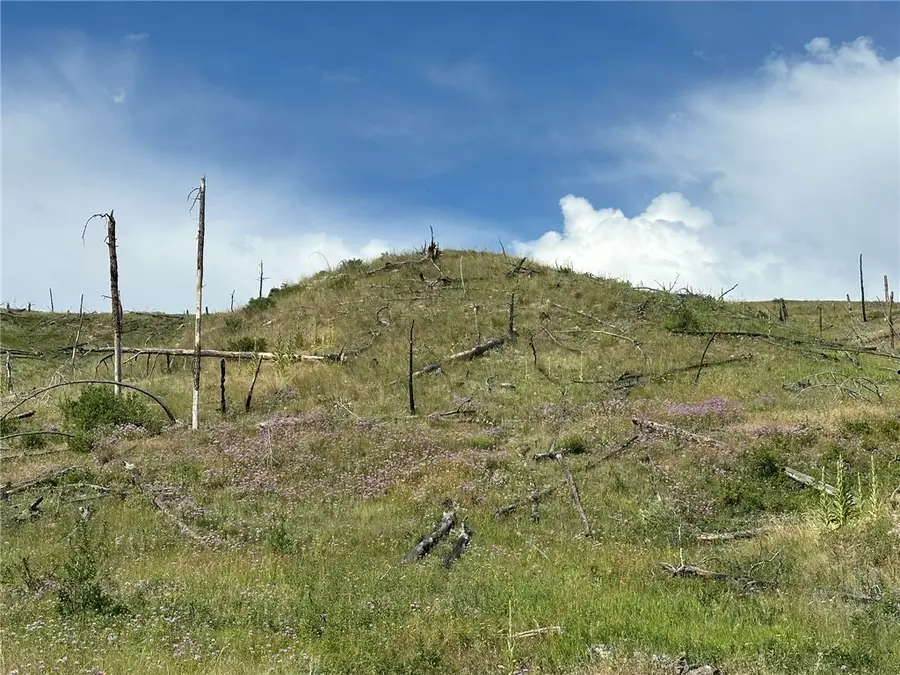 118 Buckskin Drive, Roundup, MT 59072 - #3