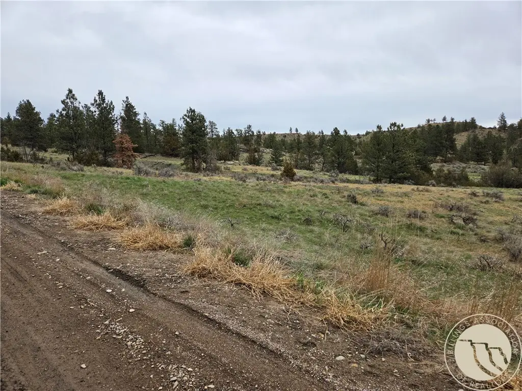 Lot 63 Starlight Drive, Roundup, MT 59072 - #1