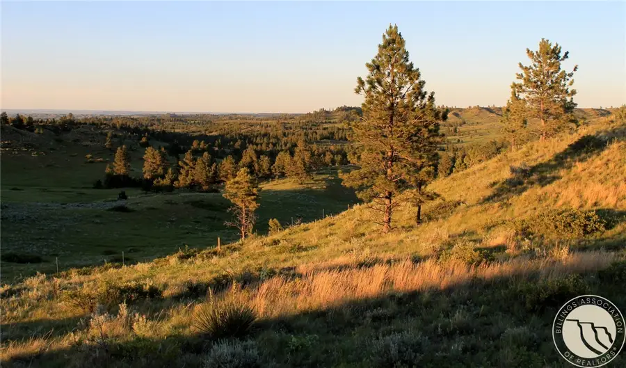 nhn Lone Rock Canyon, Hysham, MT 59076 - #3