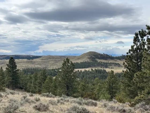 lot 184 Owl Canyon Road, Columbus, MT 59019 - #3