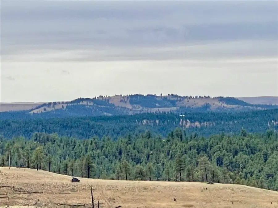 00 Divide Road, Columbus, MT 59019 - #3