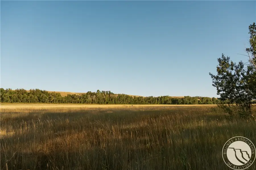 308 Two Mile Bridge Road, Roberts, MT 59070 - #3
