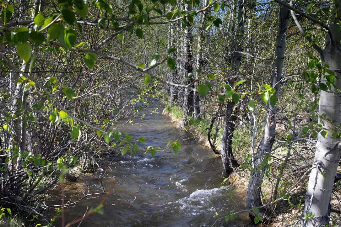 Lot 4 Bannock Circle, Red Lodge, MT 59068 - #1