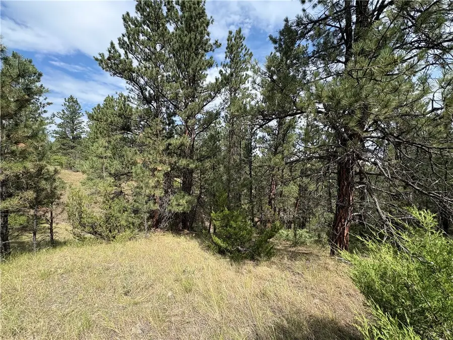 26 Yates Road, Columbus, MT 59019 - #3