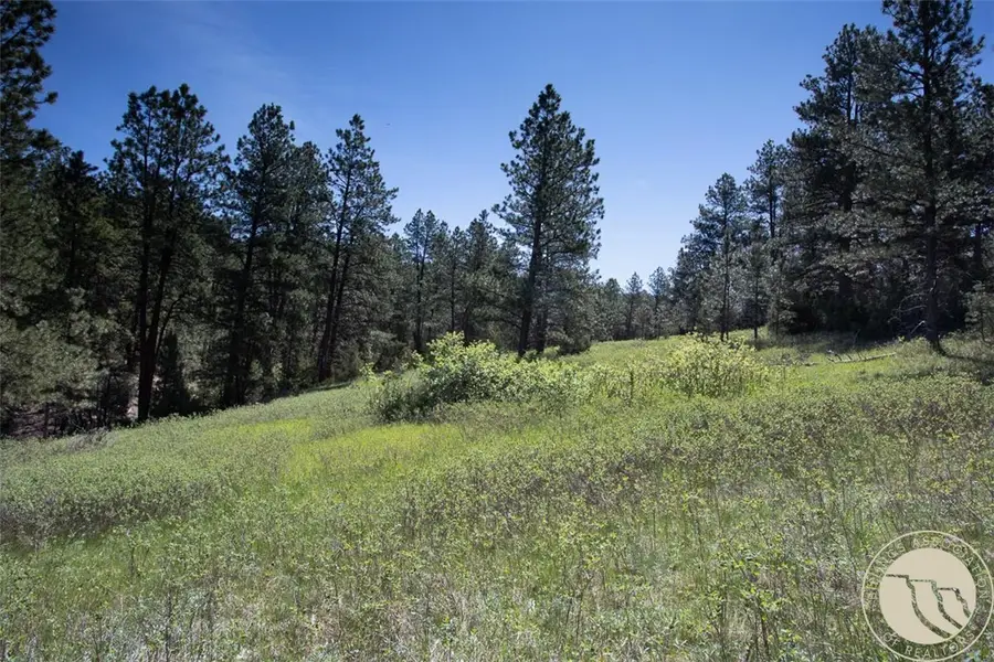 Lot 2 Shane Ridge Road, Columbus, MT 59019 - #2