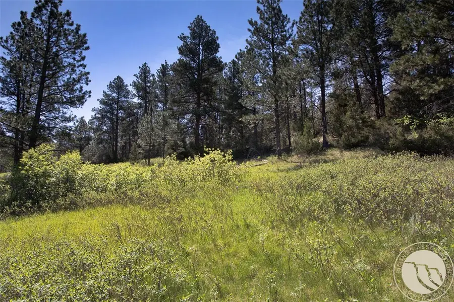Lot 2 Shane Ridge Road, Columbus, MT 59019 - #3