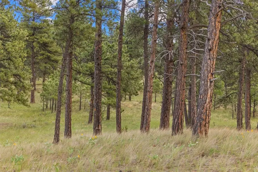 5 Timberland Way, Roundup, MT 59072 - #2