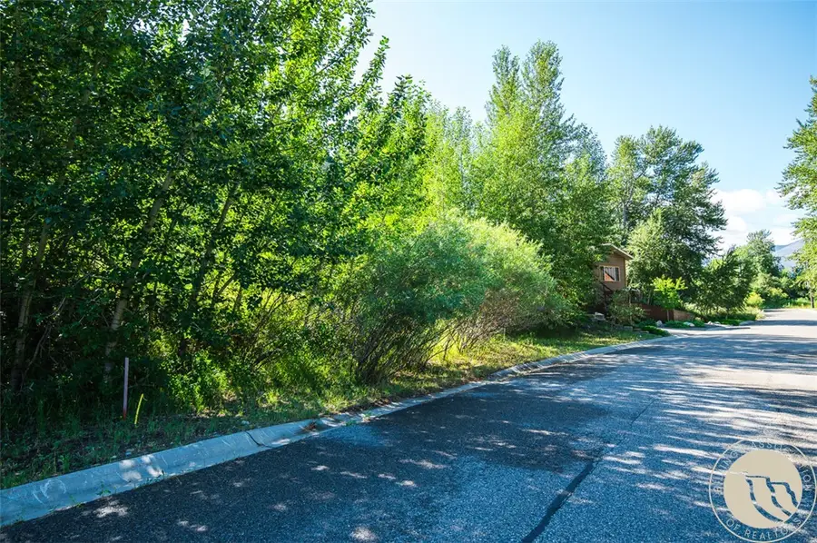 216 Kainu Avenue, Red Lodge, MT 59068 - #3