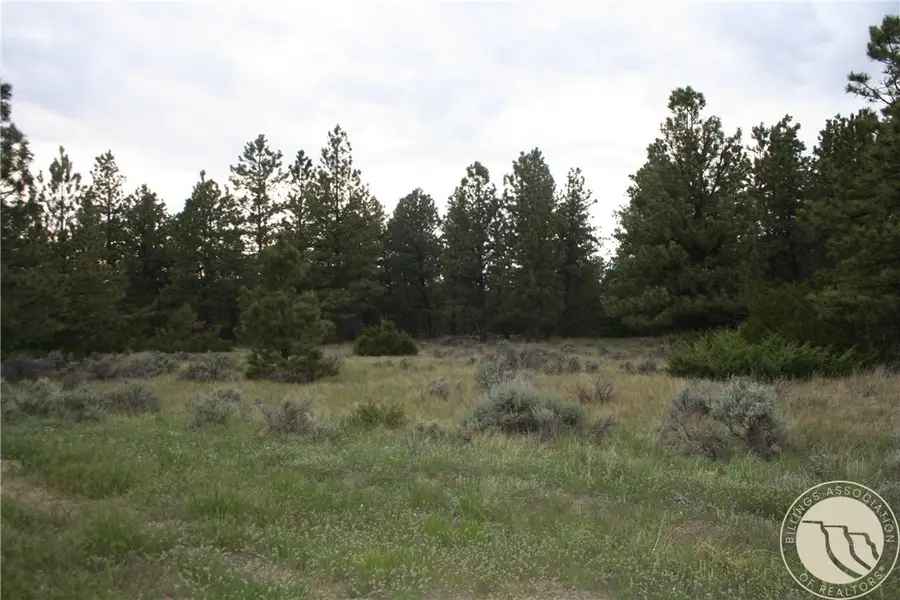 Lot 69 Jacobs Hill Rd., Reed Point, MT 59069 - #2