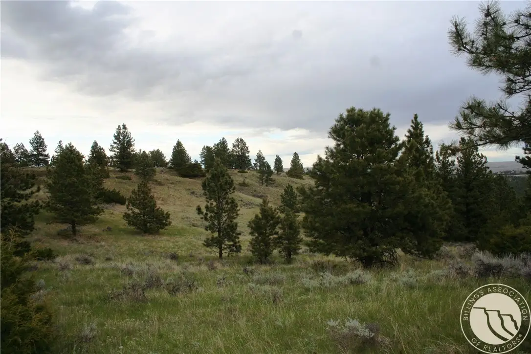 Lot 71 North Harrier Rd., Reed Point, MT 59069 - #1