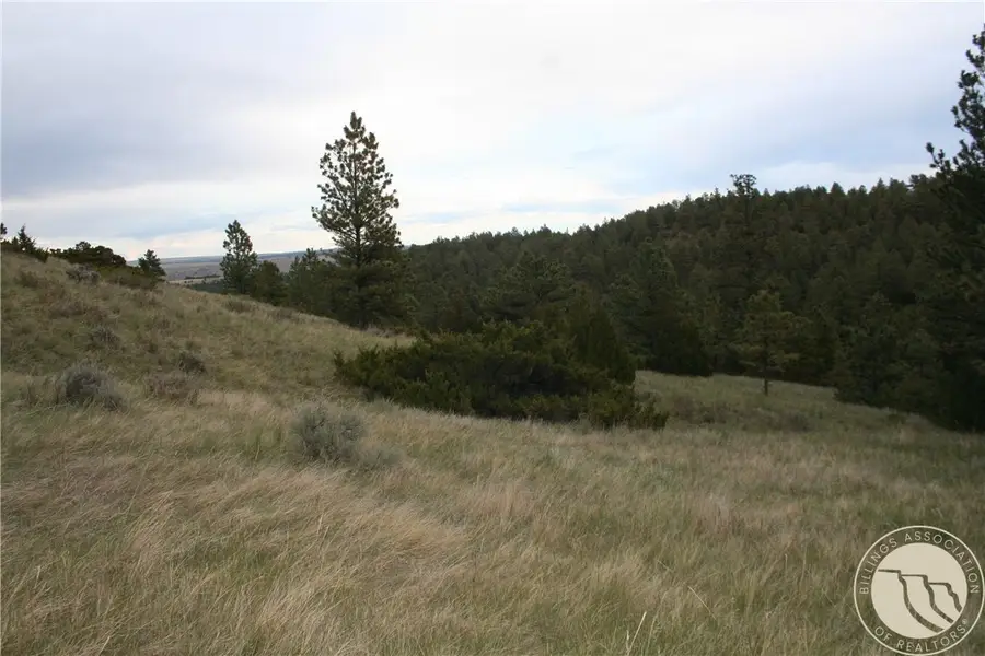 Lot 71 North Harrier Rd., Reed Point, MT 59069 - #3