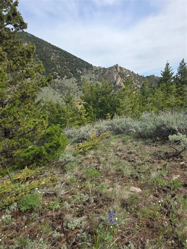 24 Bear Dance Trail, Red Lodge, MT 59068 - #2