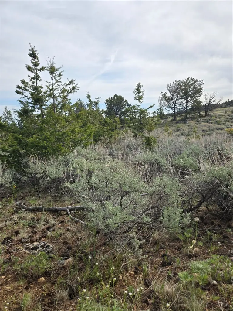 24 Bear Dance Trail, Red Lodge, MT 59068 - #3