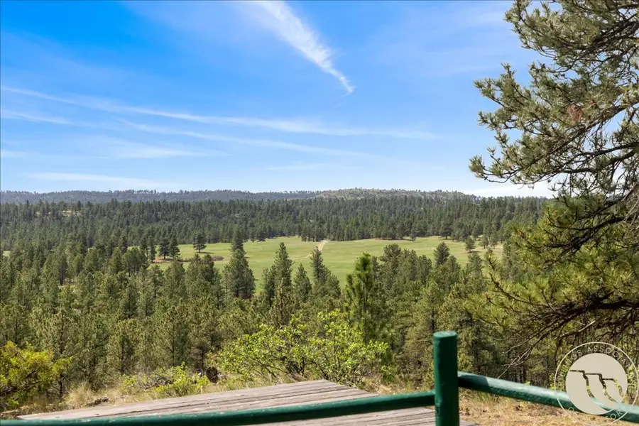 25 Denali Cabin Lane, Roundup, MT 59072 - #3