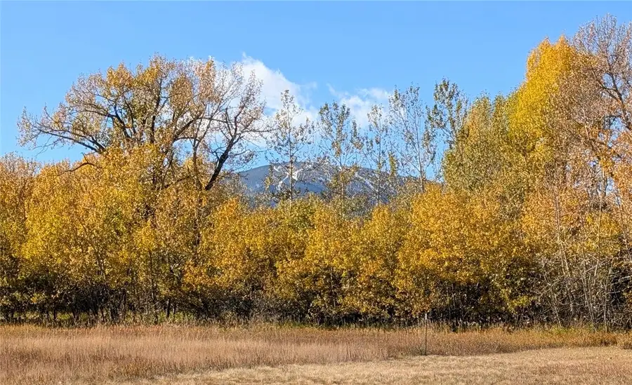 2325 Diamond C, Red Lodge, MT 59044 - #3
