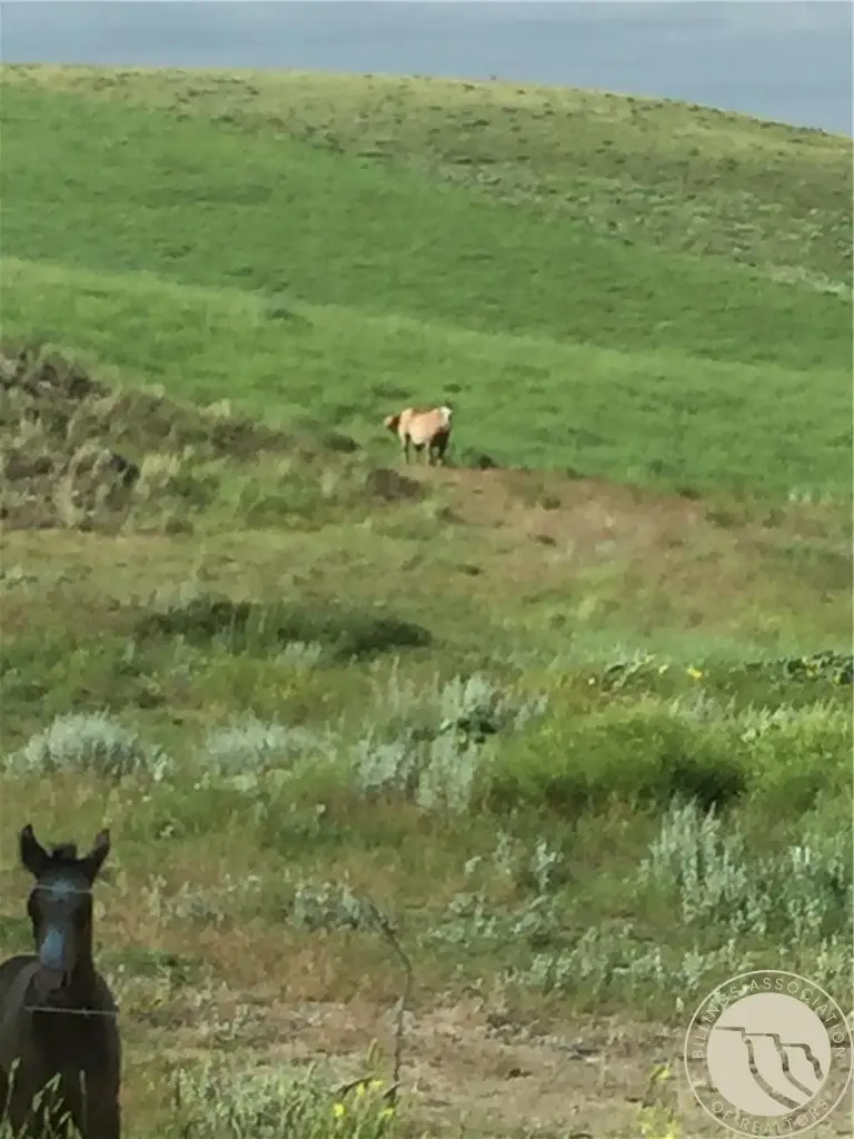 6658 SE Moser Dome Rd Road Se, Laurel, MT 59044 - #1
