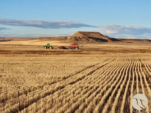 TBD Gee Road, Rapelje, MT 59067 - #2