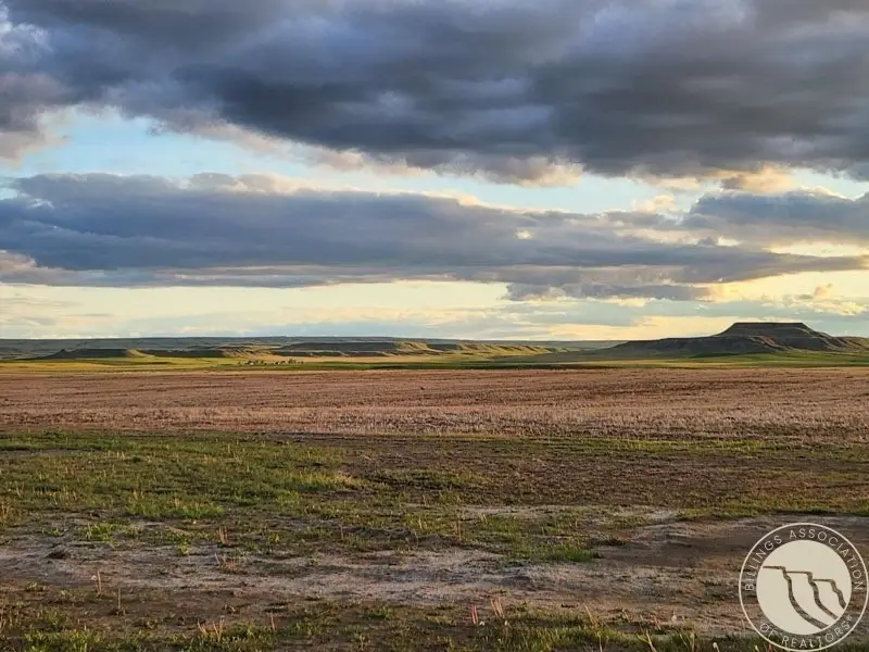 TBD Gee Road, Rapelje, MT 59067 - #3