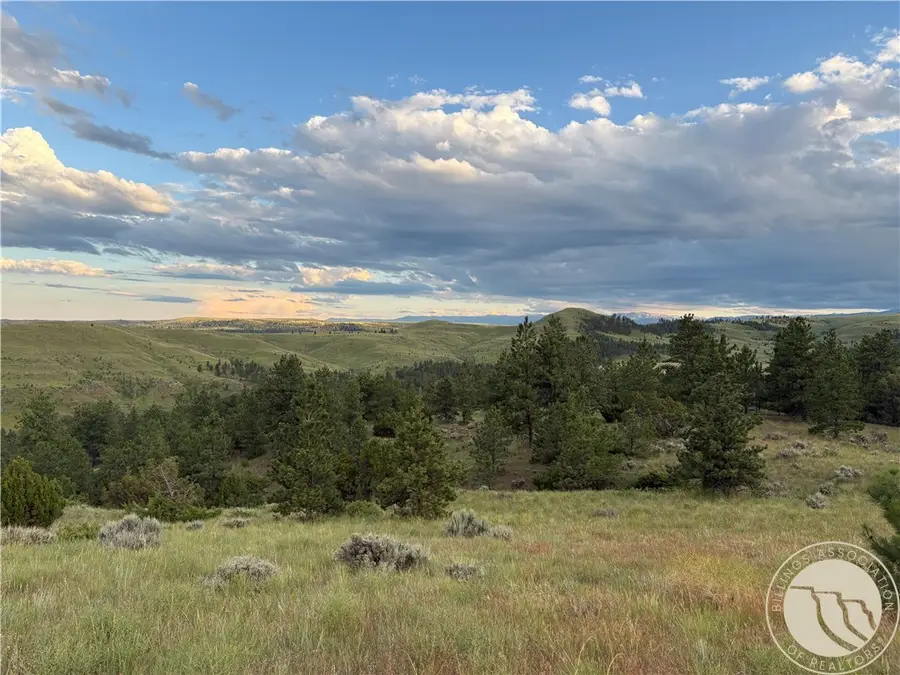 Lot 94 Owl Canyon Road, Reed Point, MT 59069 - #3