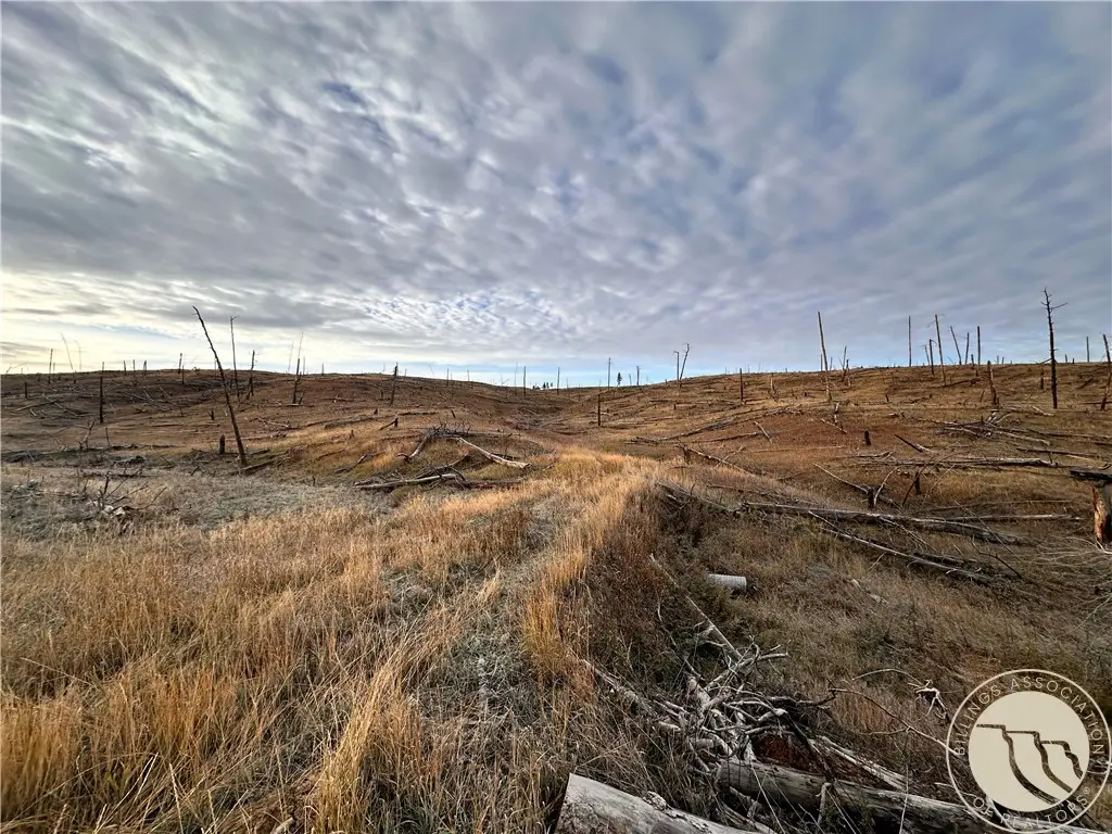 TBD Buckskin Road, Roundup, MT 59072 - #1