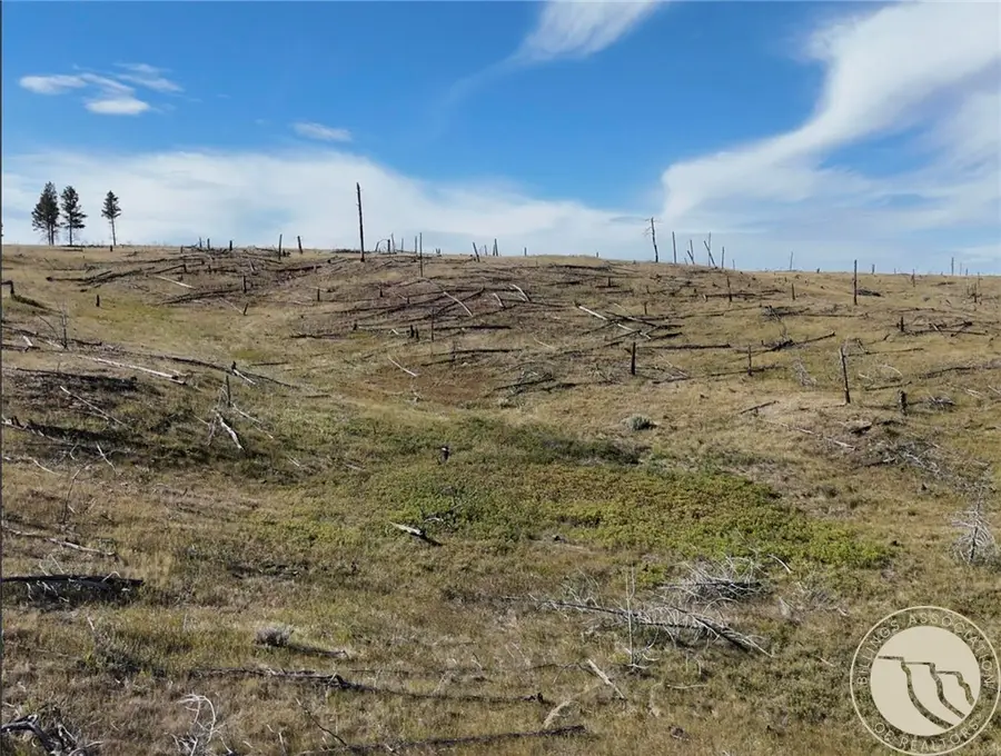TBD Buckskin Road, Roundup, MT 59072 - #2
